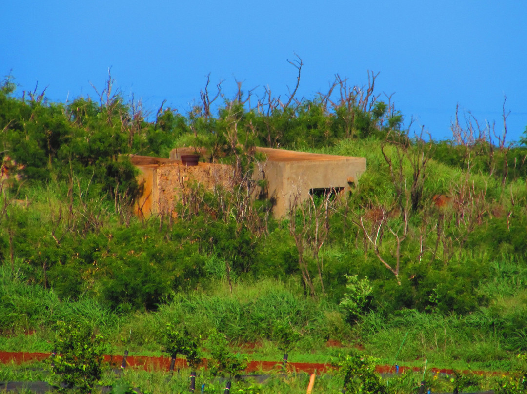 Tonys Tropical Tours On Maui-怀露库必去景点
