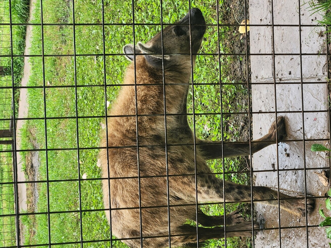 Safari Zoological Park景点图片