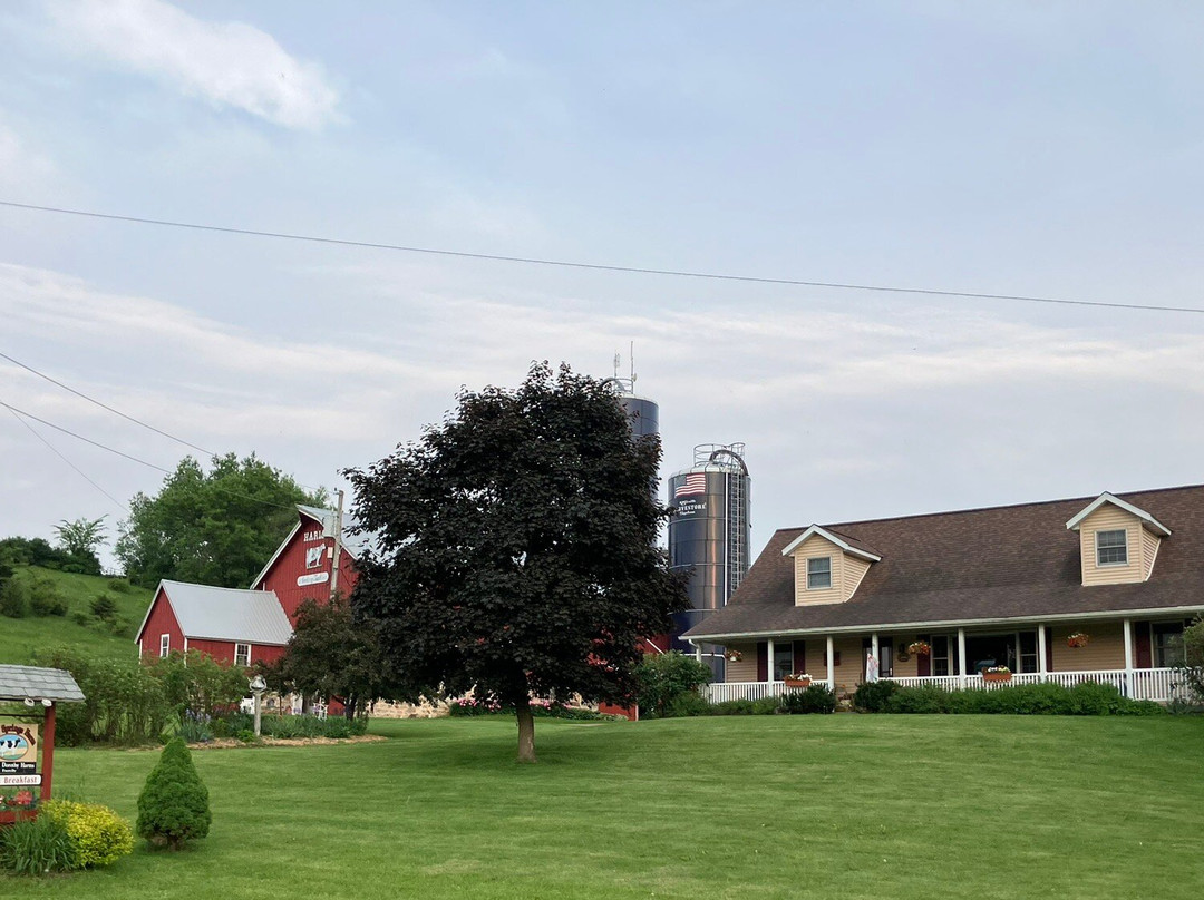 Valley Springs Farm Bed & Breakfast主图