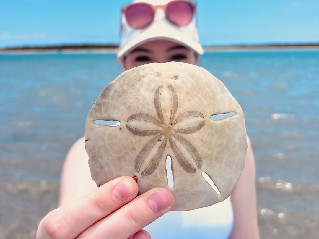 Crystal Coast Ecotours景点图片