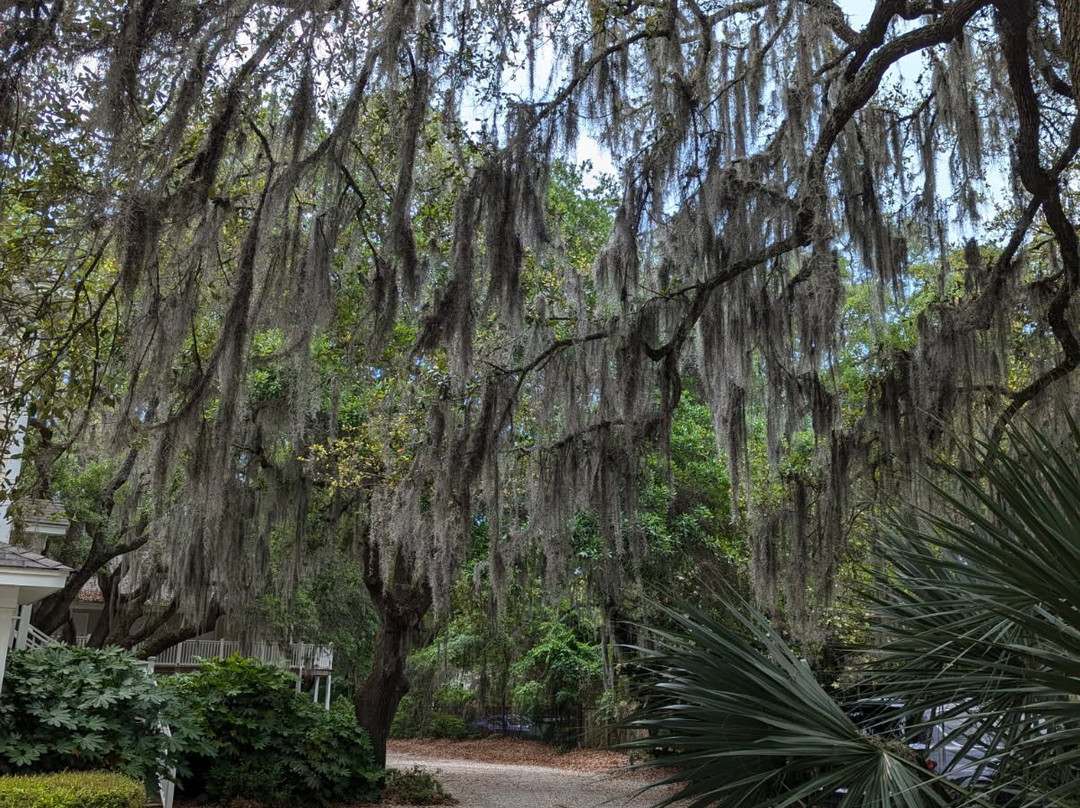 MarshWalk-默勒尔斯因莱特必去景点