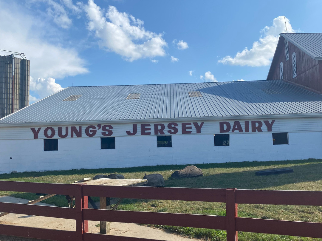 Young's Jersey Dairy Farm-Yellow Springs必去景点