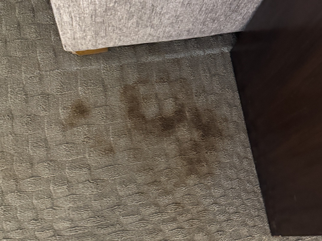 落基山哈特福德万豪酒店主图