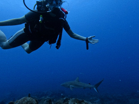 Blue Salt Divers - Home of Dive Experience-Christiansted必去景点