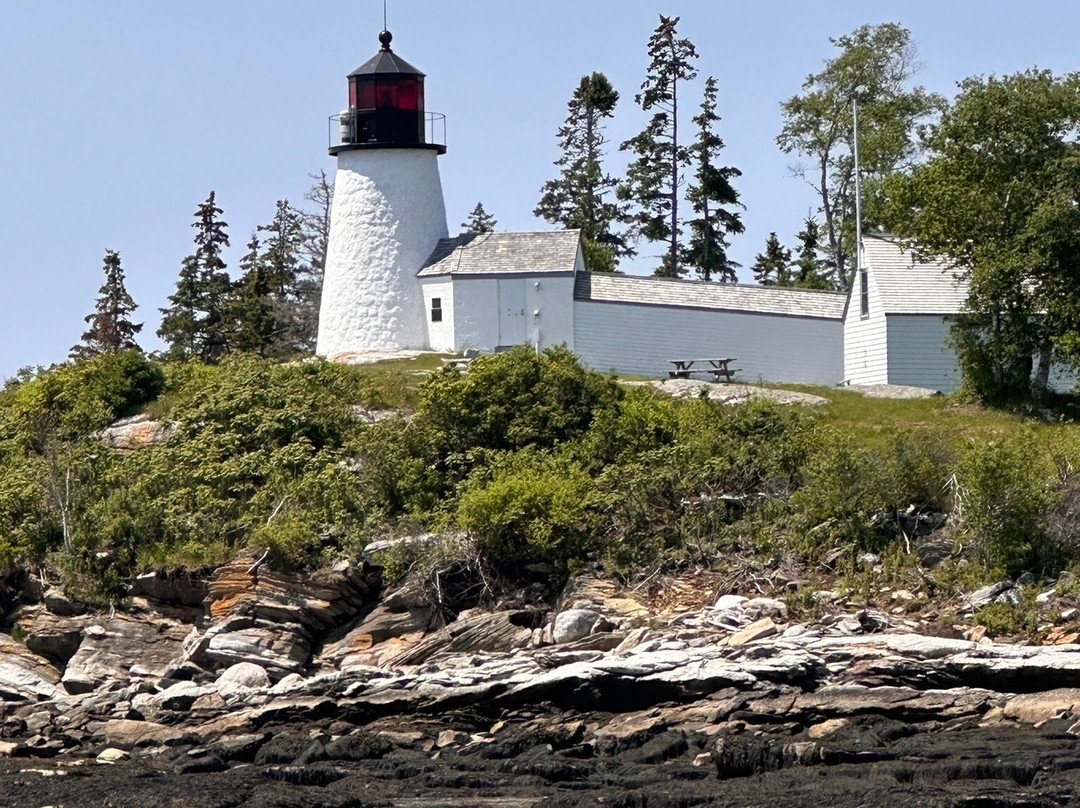 Cabbage Island-布斯贝港必去景点