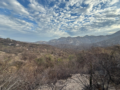 Baja Life Adventure-La Ventana必去景点
