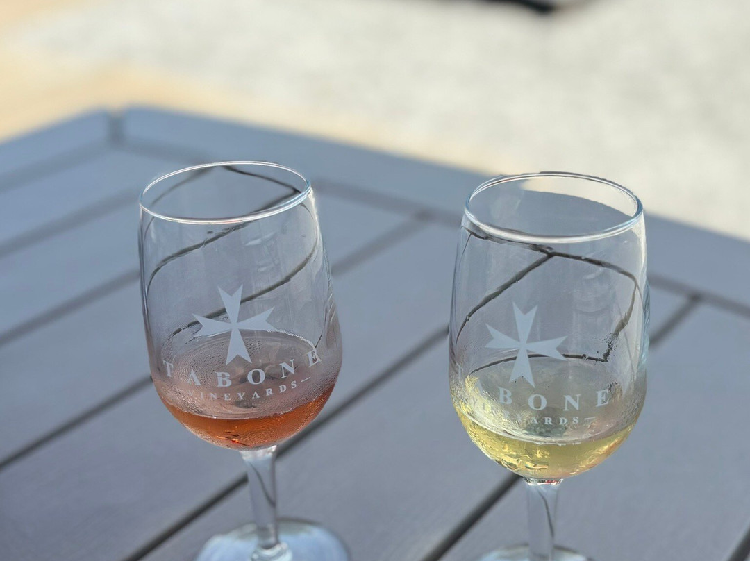 Tabone Vineyards-特拉弗斯城必去景点
