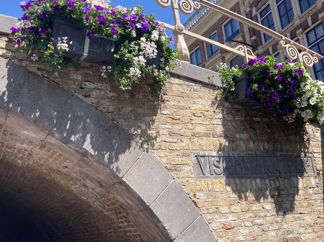 Rondvaart Praamverhuur Leeuwarden-吕伐登必去景点