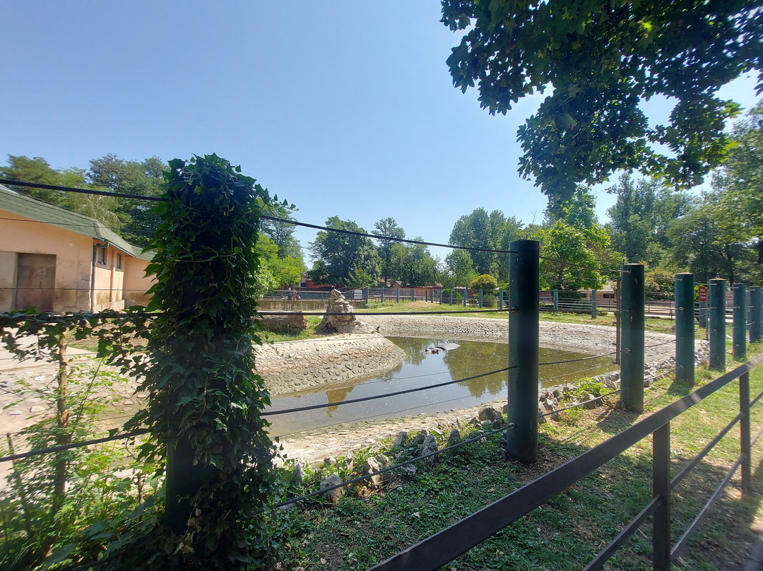 Skopje ZOO-斯科普里必去景点