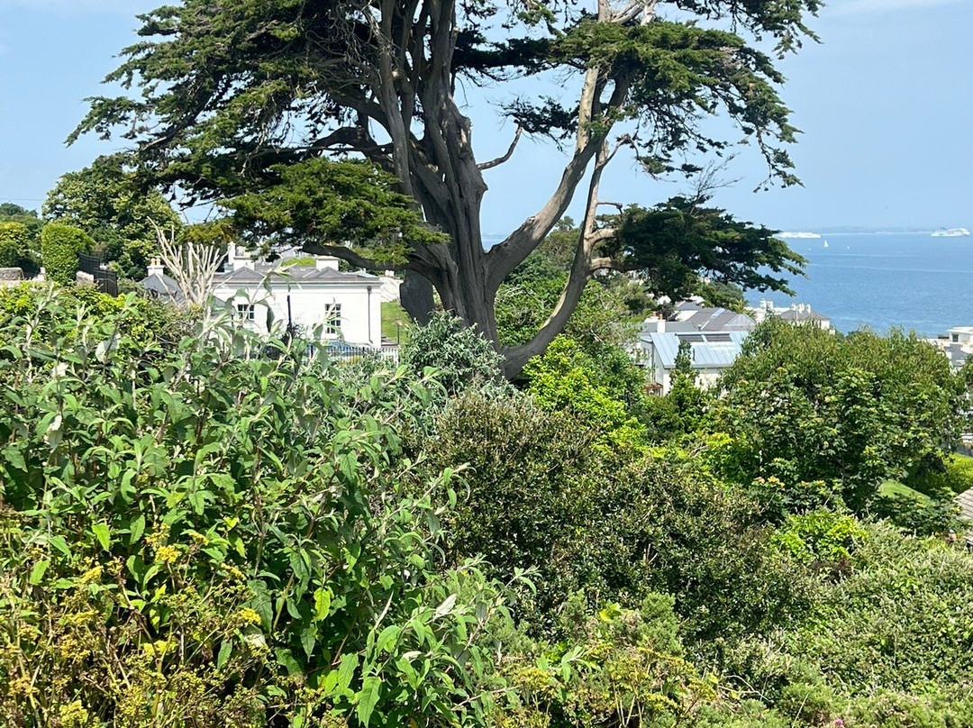 Sorrento Park-达尔基必去景点