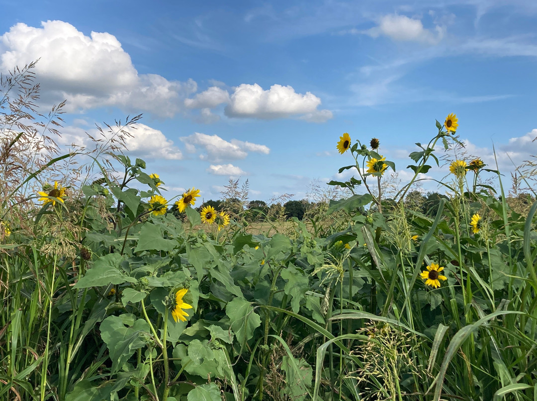 La Quinta Inn & Suites by Wyndham Stephenville主图