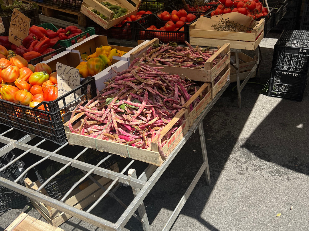 Mercato di Civitavecchia-奇维塔韦基亚必去景点