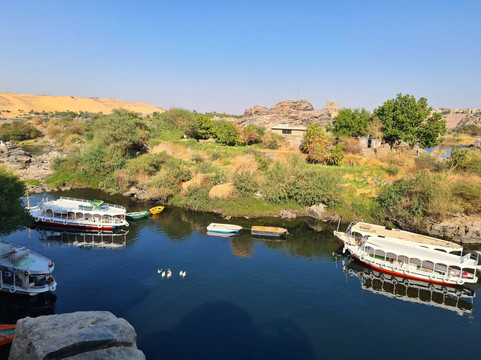 Primo Go Llc-亚斯文必去景点