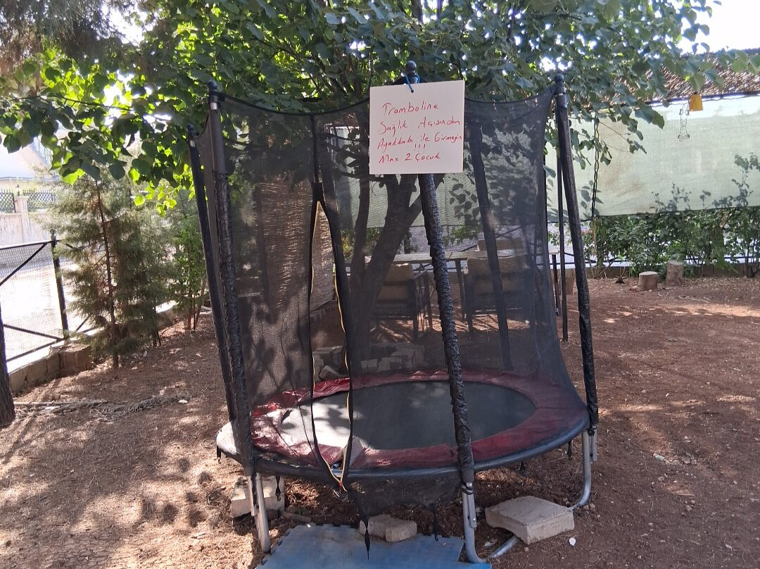 Bahcamatiate Midyat At Ciftligi Ve Mini Hayvanat Bahcesi-Midyat必去景点