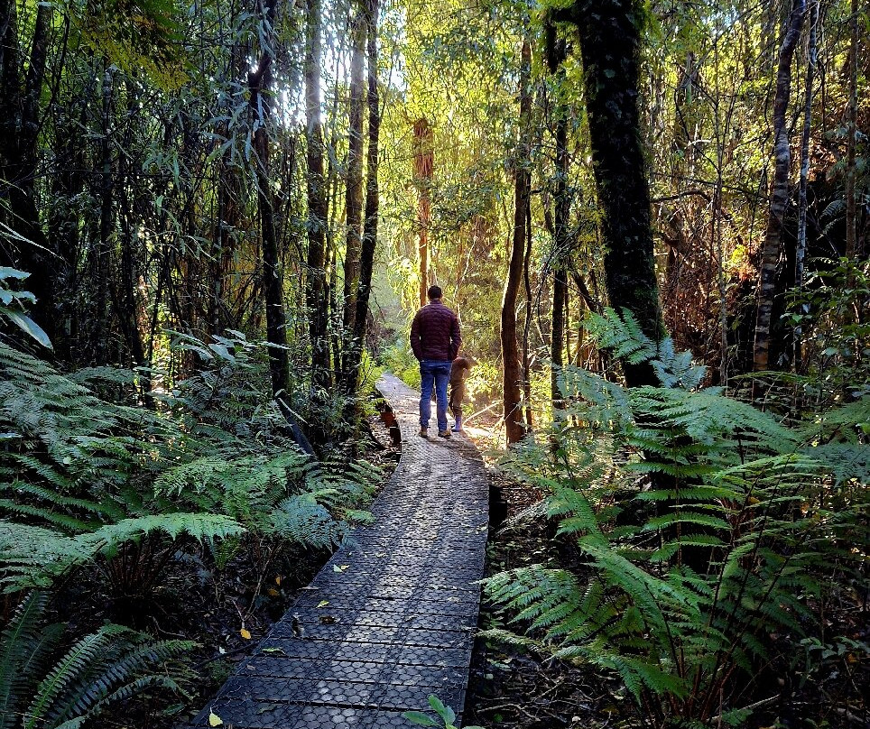 Waiohine Gorge Suspension Bridge-Carterton必去景点