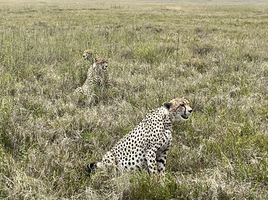 Global Experience-阿鲁沙必去景点