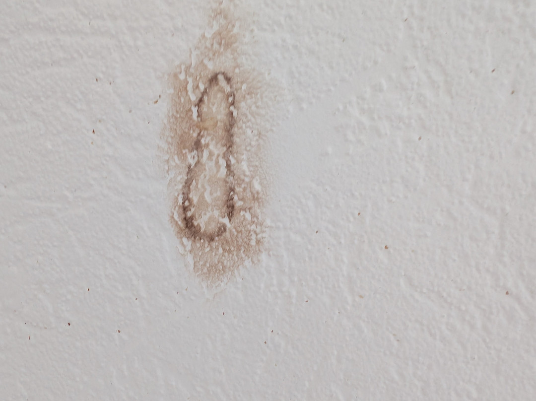 Cardigan Bay Guest House主图