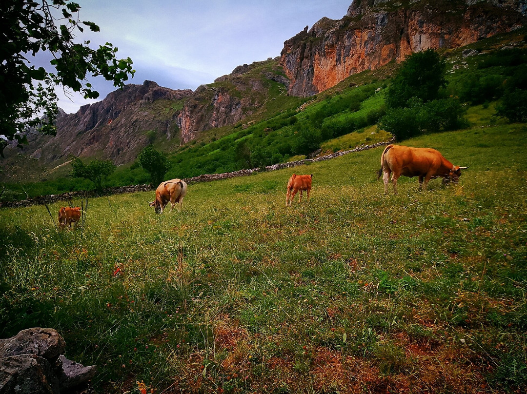 Ruta Lago del Valle-Valle del Lago必去景点