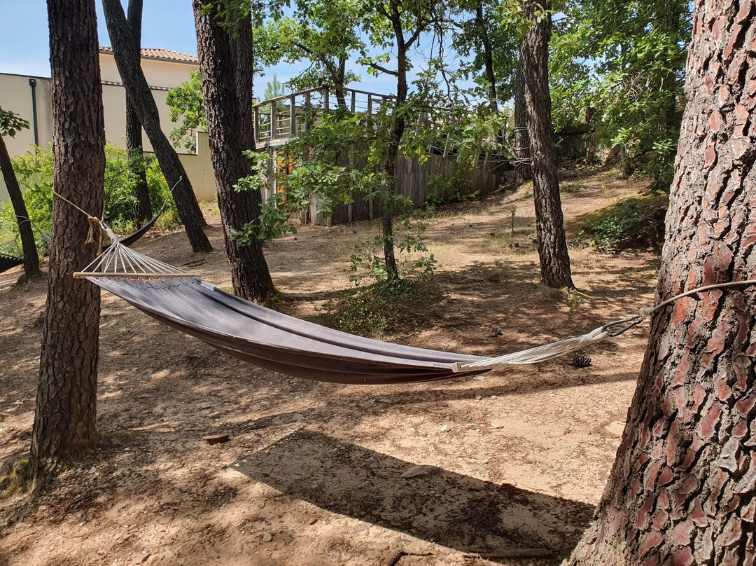 Logis Hôtel des Pins Rest. l'Esprit Jardin主图