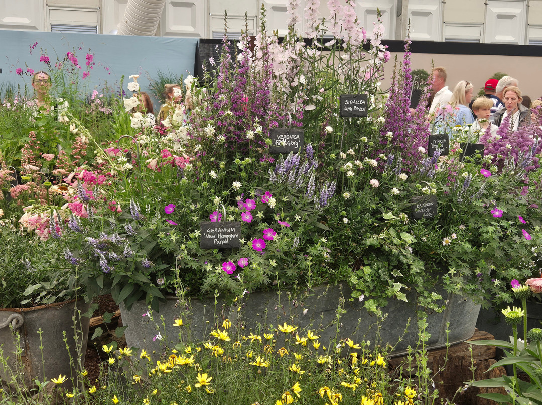 Hampton Court Flower Show-East Molesey必去景点