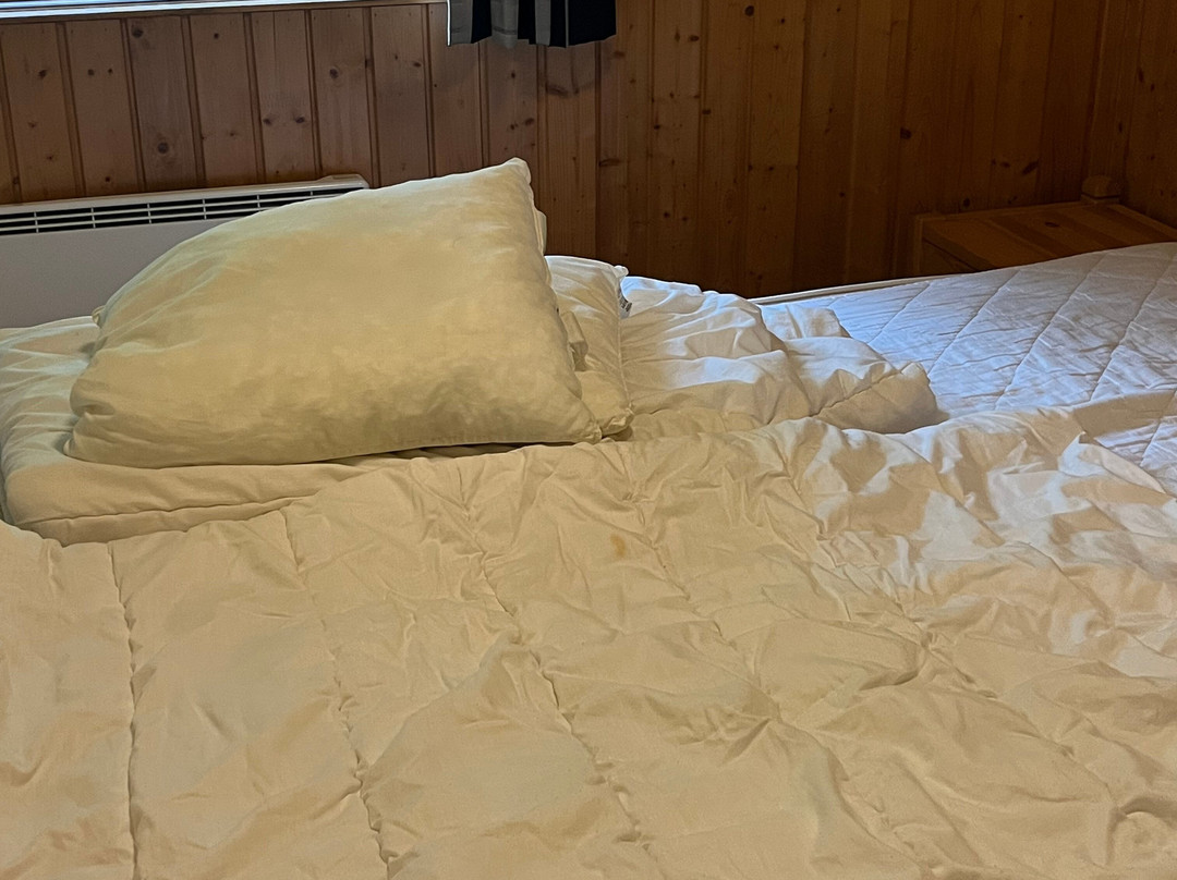 Lofsdalens Fjällhotell主图
