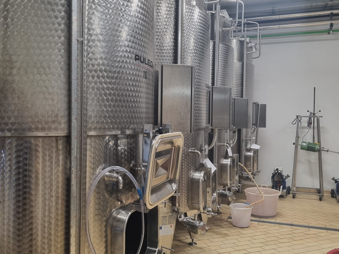 Gurrieri Vigneti&cantina-Chiaramonte Gulfi必去景点