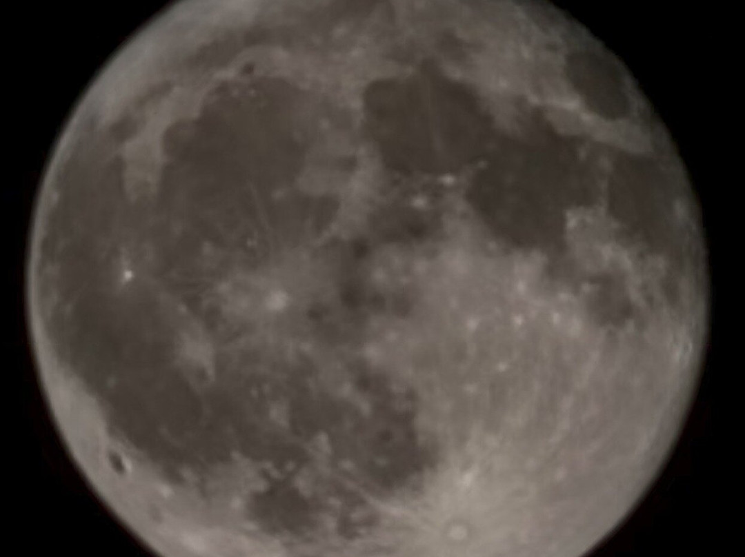 The Sonaugi Homestead主图