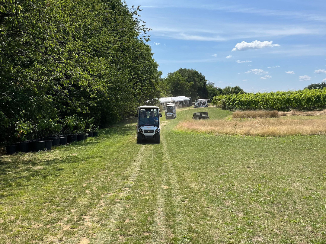 Wijnsafari in Hageland (Bekkevoort)-Bekkevoort必去景点