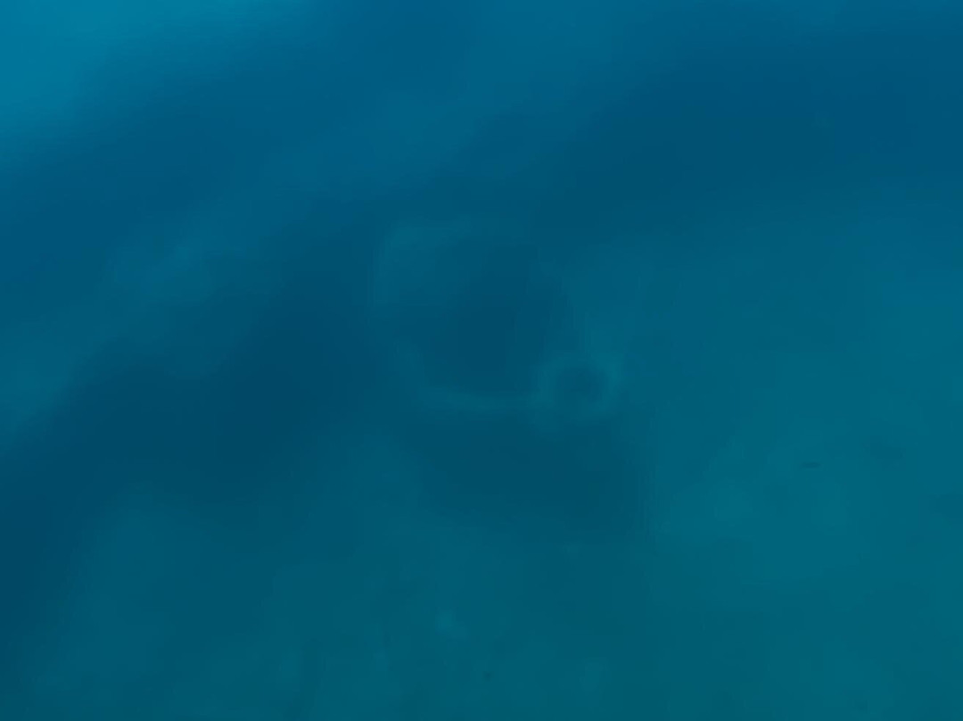 Parco Archeologico Marino Sommerso di Baia - Battello Cymba-Baiae必去景点