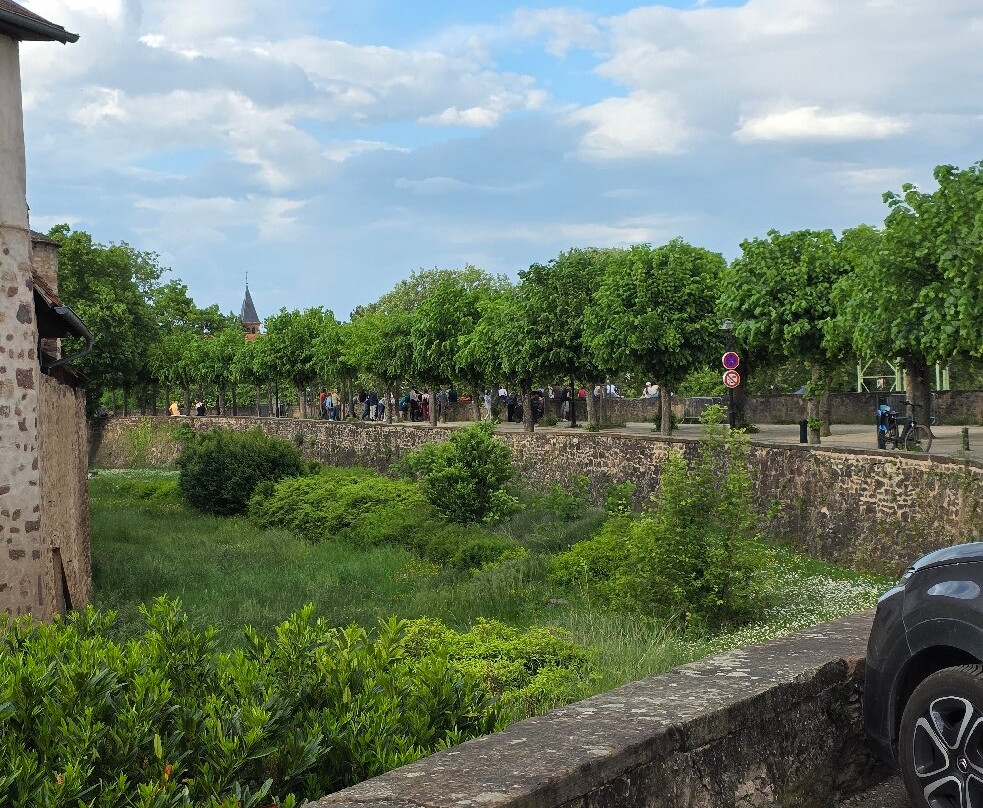 Parcours Historique d'Obernai-奥贝奈必去景点