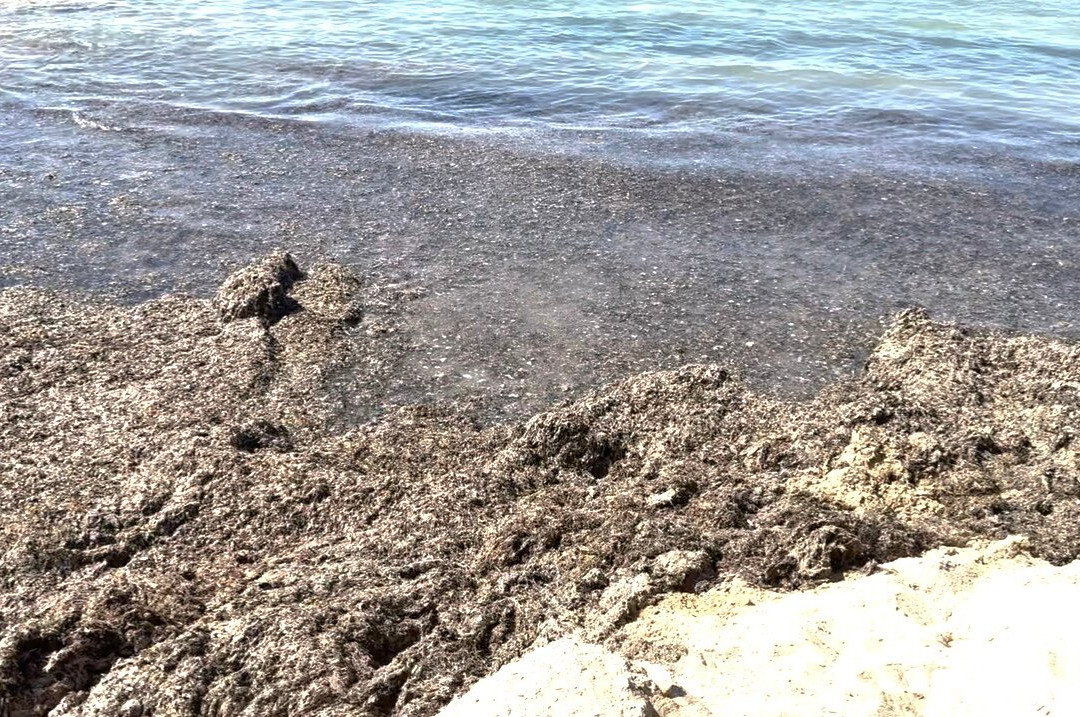 Fanum Pescoluse-Pescoluse必去景点