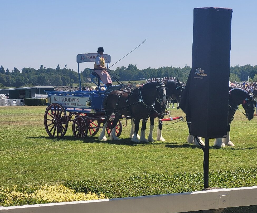 Great Yorkshire Show-哈罗盖特必去景点