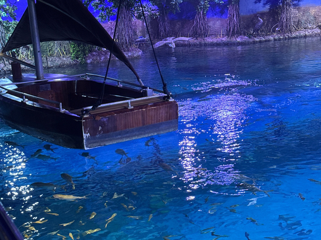 The National Aquarium Abu Dhabi-阿布扎比必去景点