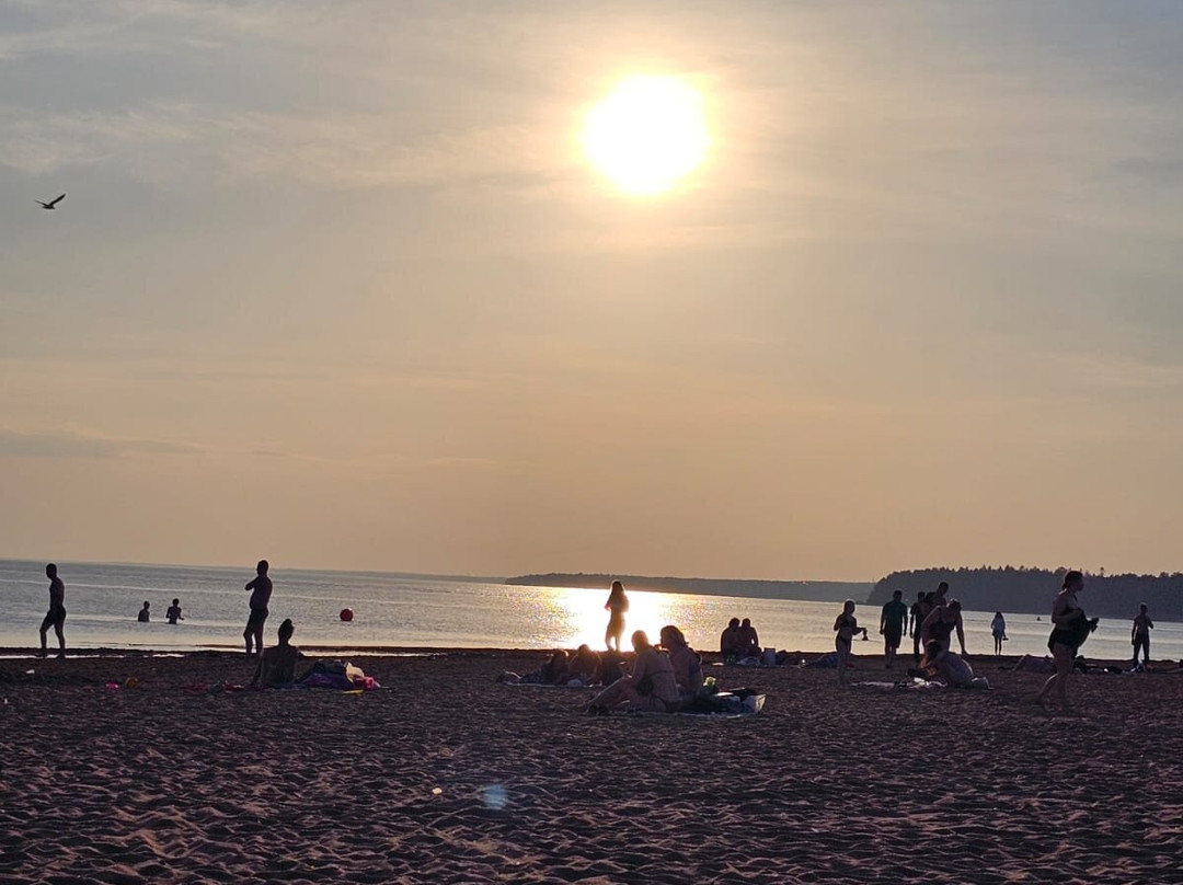 Beach Laskovy-圣彼得堡必去景点
