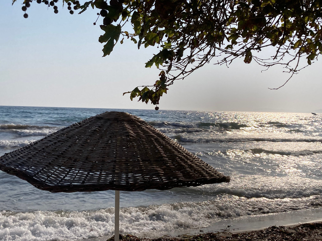 Dogan Paradise Beach Hotel主图