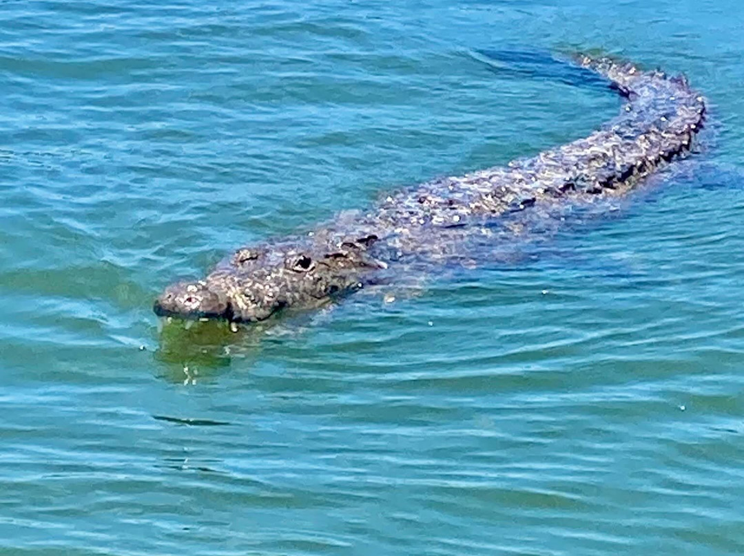 H&L Tours-普拉亚德尔卡曼必去景点