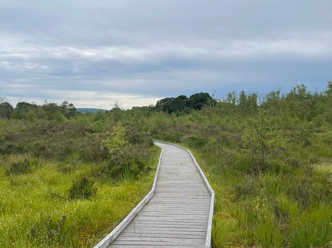 Cors Y Llyn  National Nature Reserve-Builth Wells必去景点