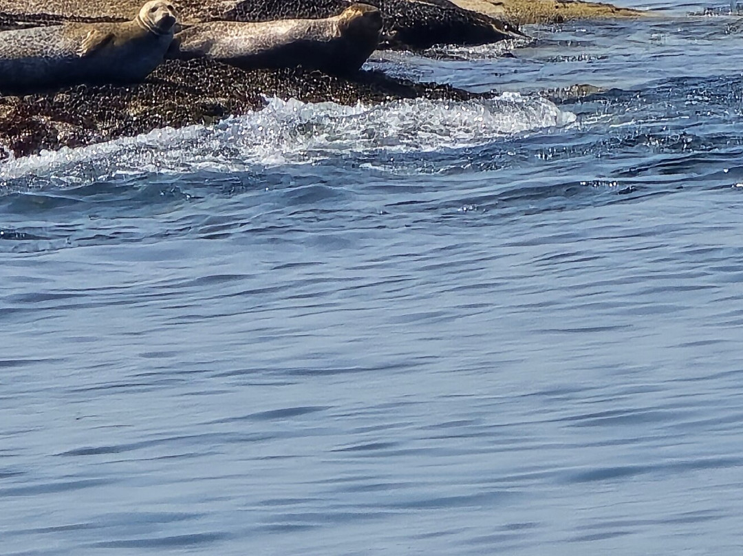 Monhegan Boat Line-Port Clyde必去景点