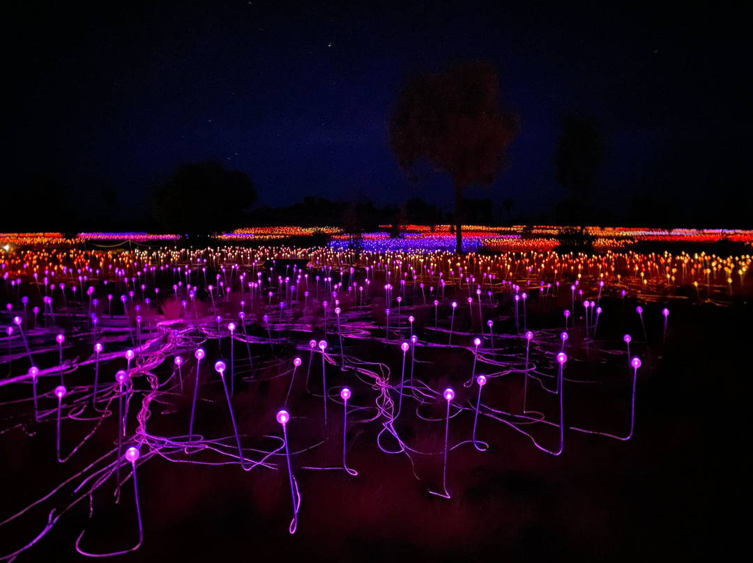 Field of Light-乌鲁鲁-卡塔丘塔国家公园必去景点