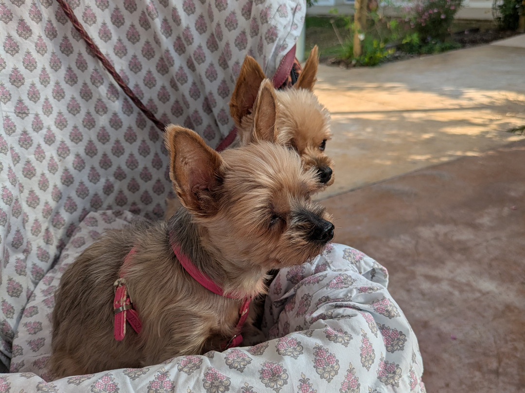 The Originals City, Hotel Le Lodge, Bayonne North主图