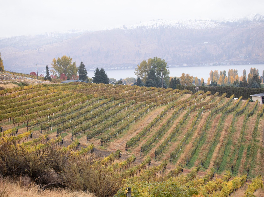 Hard Row to Hoe Vineyards-Manson必去景点