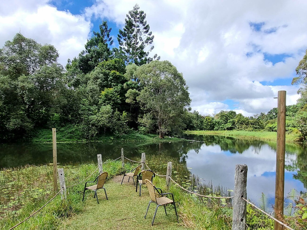 The Australian Platypus Park at Tarzali Lakes-马兰达必去景点
