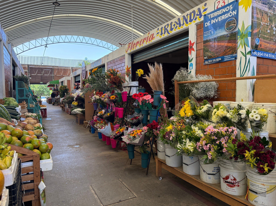 Mercado Zicatela-埃斯孔迪多港必去景点