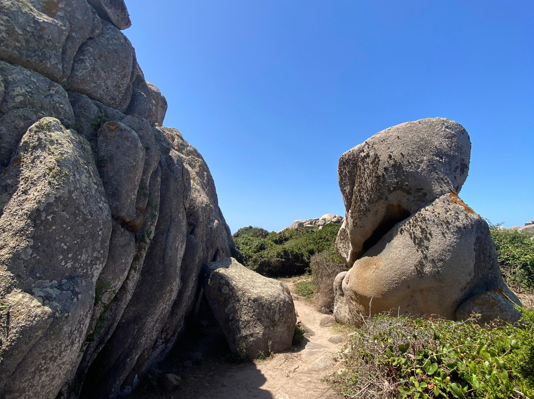 AUTHENTIC CROISIERE-维琪奥港必去景点