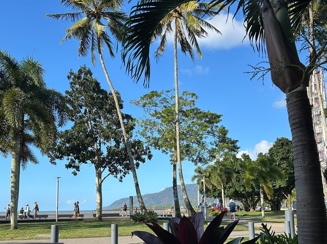 Cairns Private Transfers-道格拉斯港必去景点