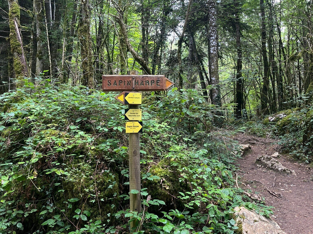 The Labyrinth Verte-Nebias必去景点