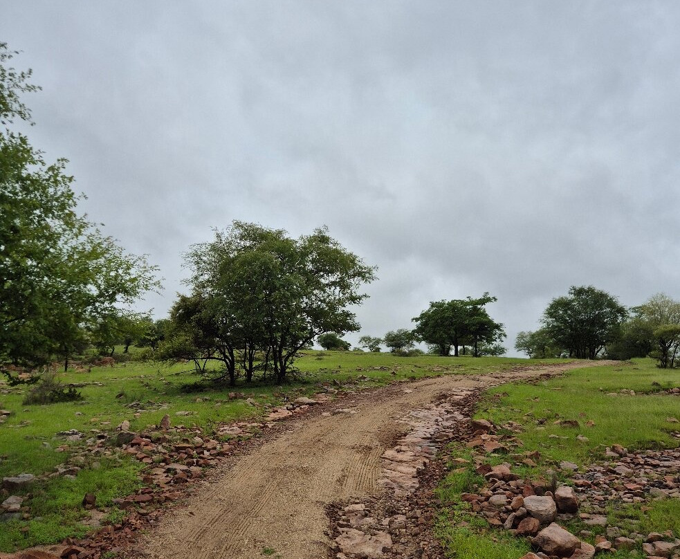 Ranthambore Tiger Safari-瑟瓦伊马托布尔必去景点
