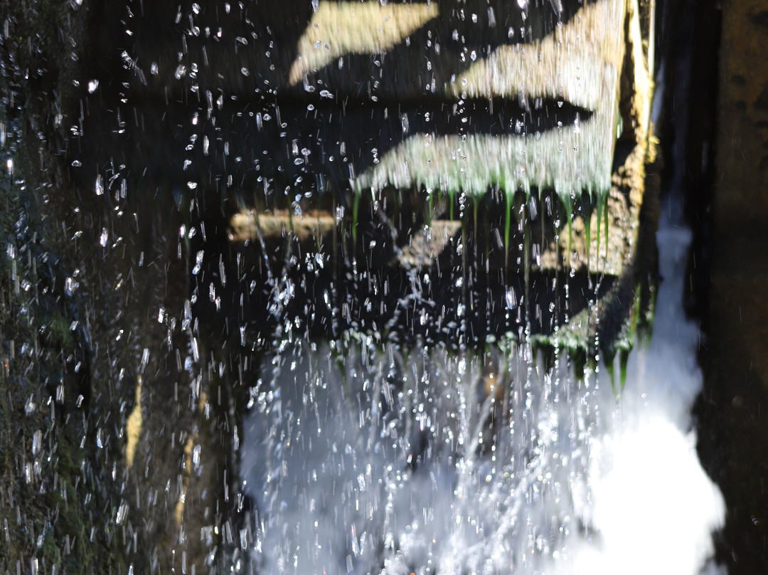 Grande forge de Buffon-Buffon必去景点