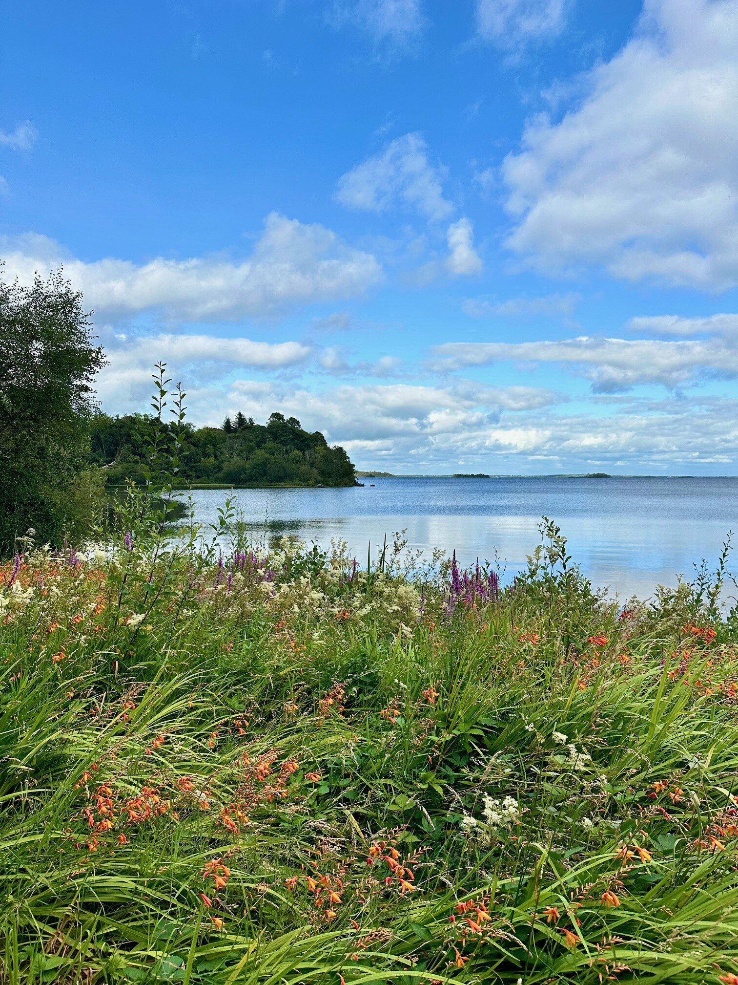 卡洛拉维埃克酒店-浴室