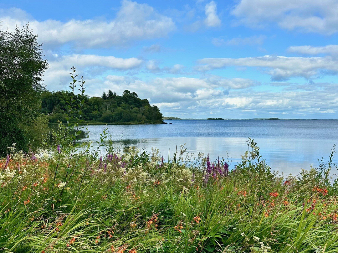 卡洛拉维埃克酒店主图